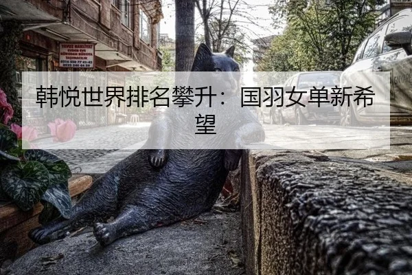 韩悦世界排名攀升：国羽女单新希望